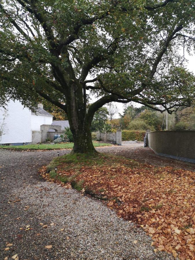 Kilpatrick Glebe Villa Crossabeg Dış mekan fotoğraf