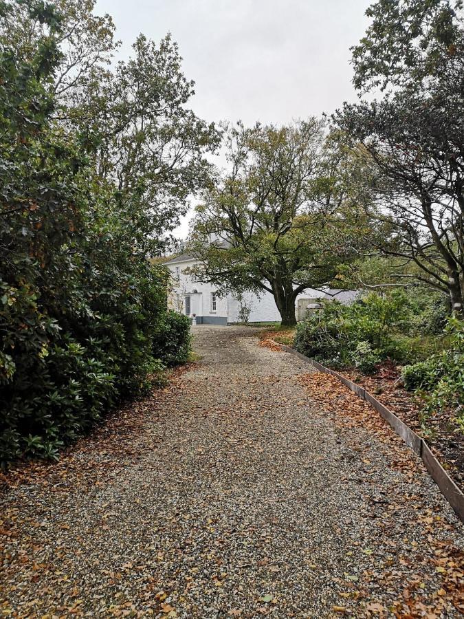 Kilpatrick Glebe Villa Crossabeg Dış mekan fotoğraf