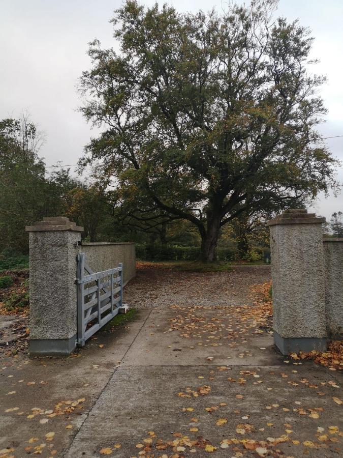 Kilpatrick Glebe Villa Crossabeg Dış mekan fotoğraf