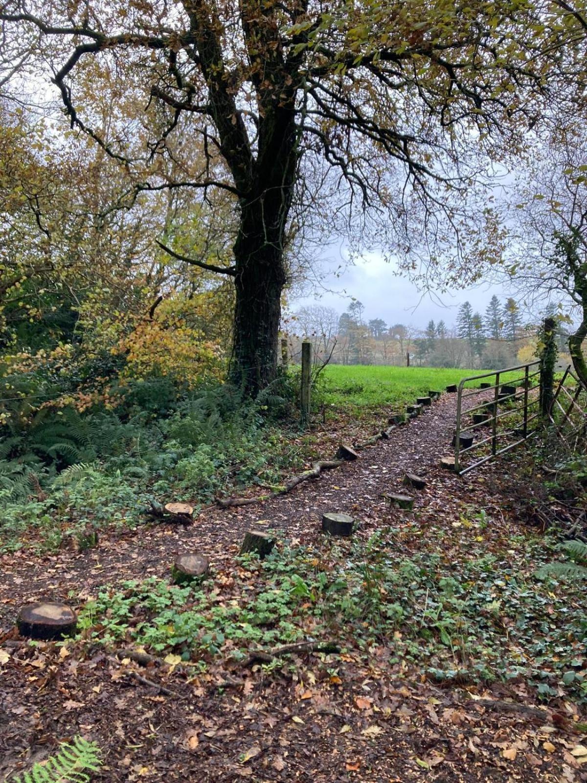 Kilpatrick Glebe Villa Crossabeg Dış mekan fotoğraf